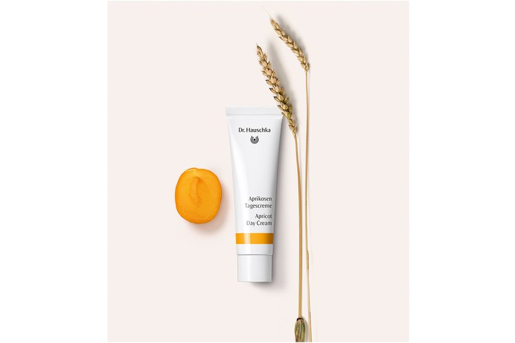 Apricot Day Cream 30ml
